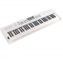 Teclado roland Go keys 5 Branco