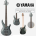  Contra Baixo 5 Cordas Yamaha Trbx 305 Mg Mist Green