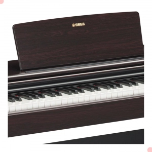 Piano Digital Arius YDP-145 Rosewood Yamaha