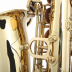 Sax Alto Jupiter JAS 500 Gold