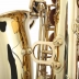 Sax Alto Jupiter JAS 500 Gold