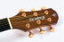 Violão Strinberg Sd300c WS WALNUT Folk Aço