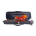 Violino 4/4 Alfa GGVL 800